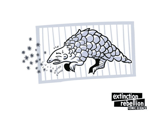 sick pangolin in a small cage, coughing COVID-19